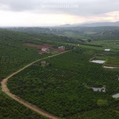Bán đất nghỉ dưỡng 600 triệu / sào tại Hoài Đức, Lâm Hà, Lâm Đồng